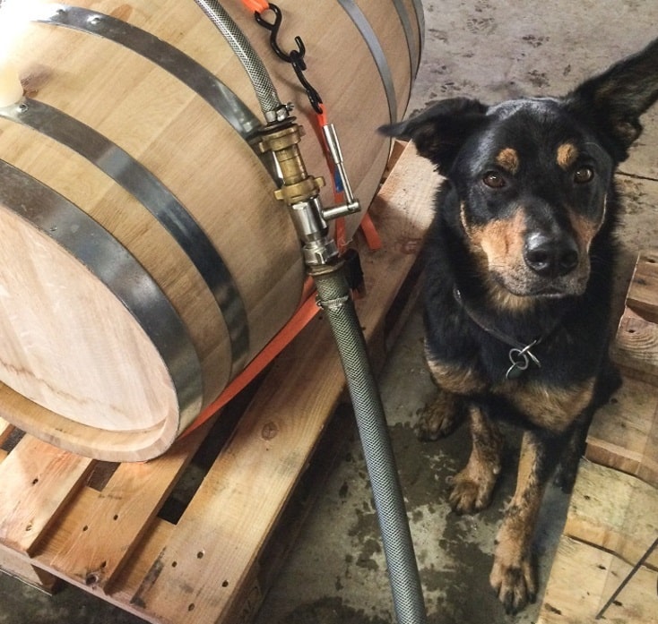 Einmal volltanken bei Weinbau Böcher in Franken.
