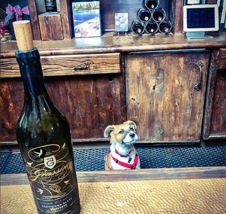 Neulich im tasting room von Grassini Family Wineyards in Santa Barbara/ Kalifornien.