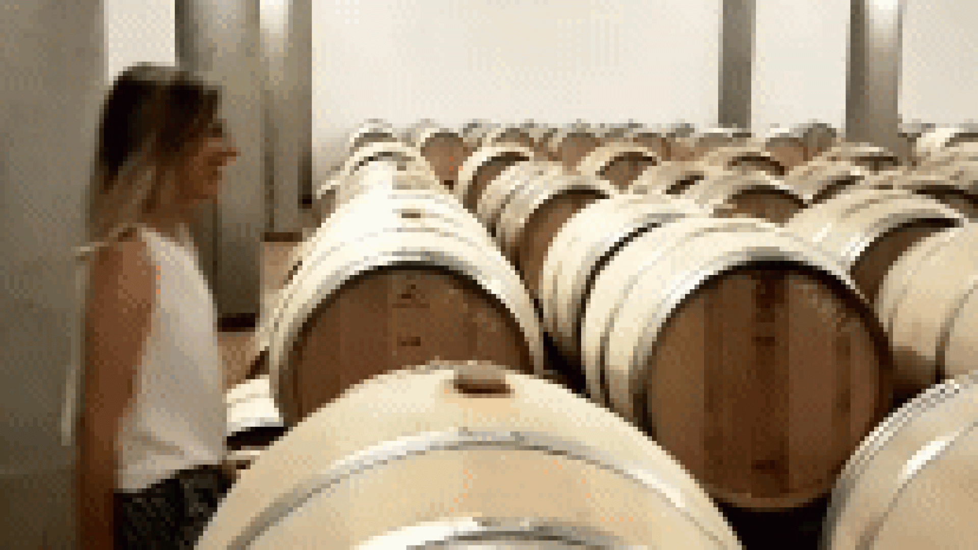 Mein Leben in der Wein-PR