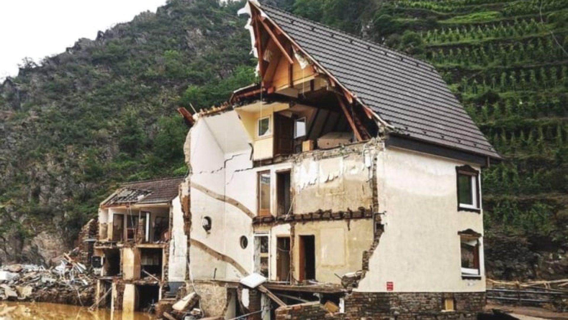 Ahr-Flut: Viele Winzer haben alles verloren