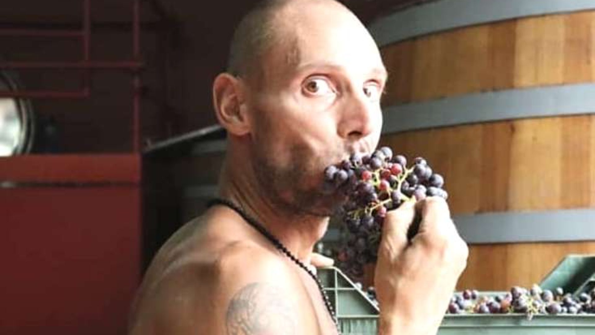 Ampeleia: der ehrliche Liter