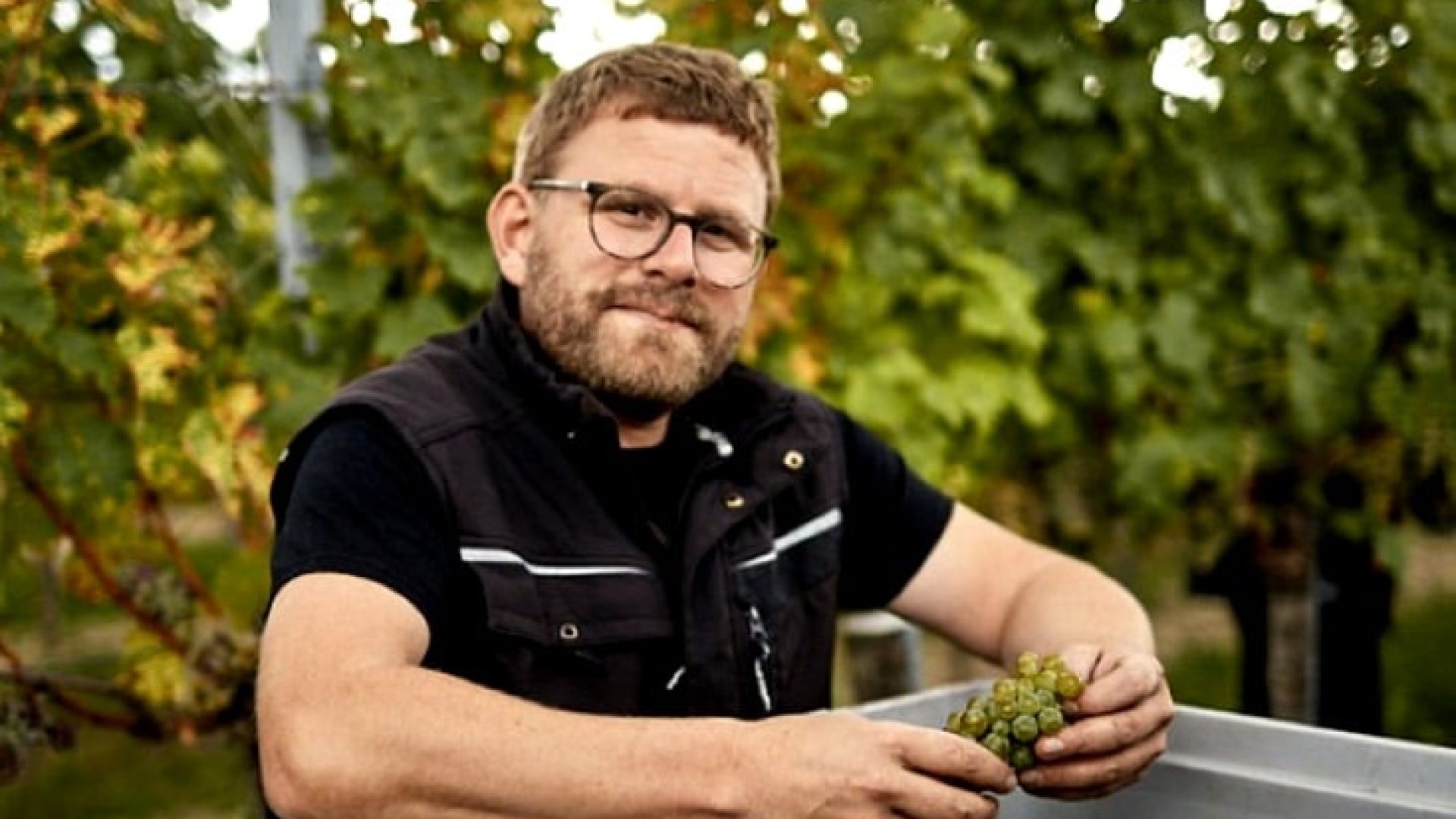 Kremstal: Käse im Kopf?