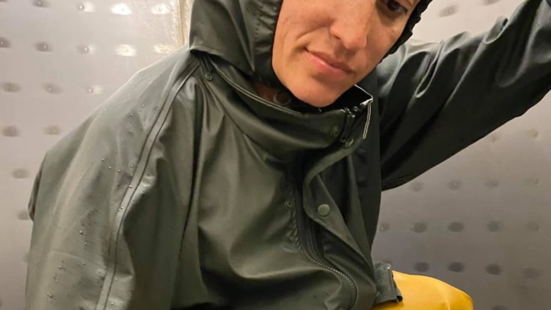 Azul perdido: der kanarische Vogel