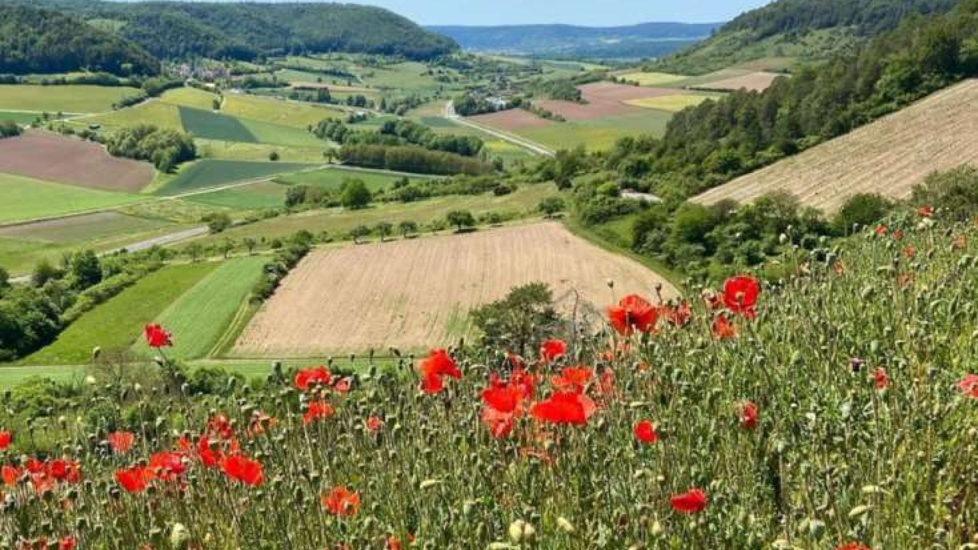 Baldauf: Kennst du die fränkische Saale?