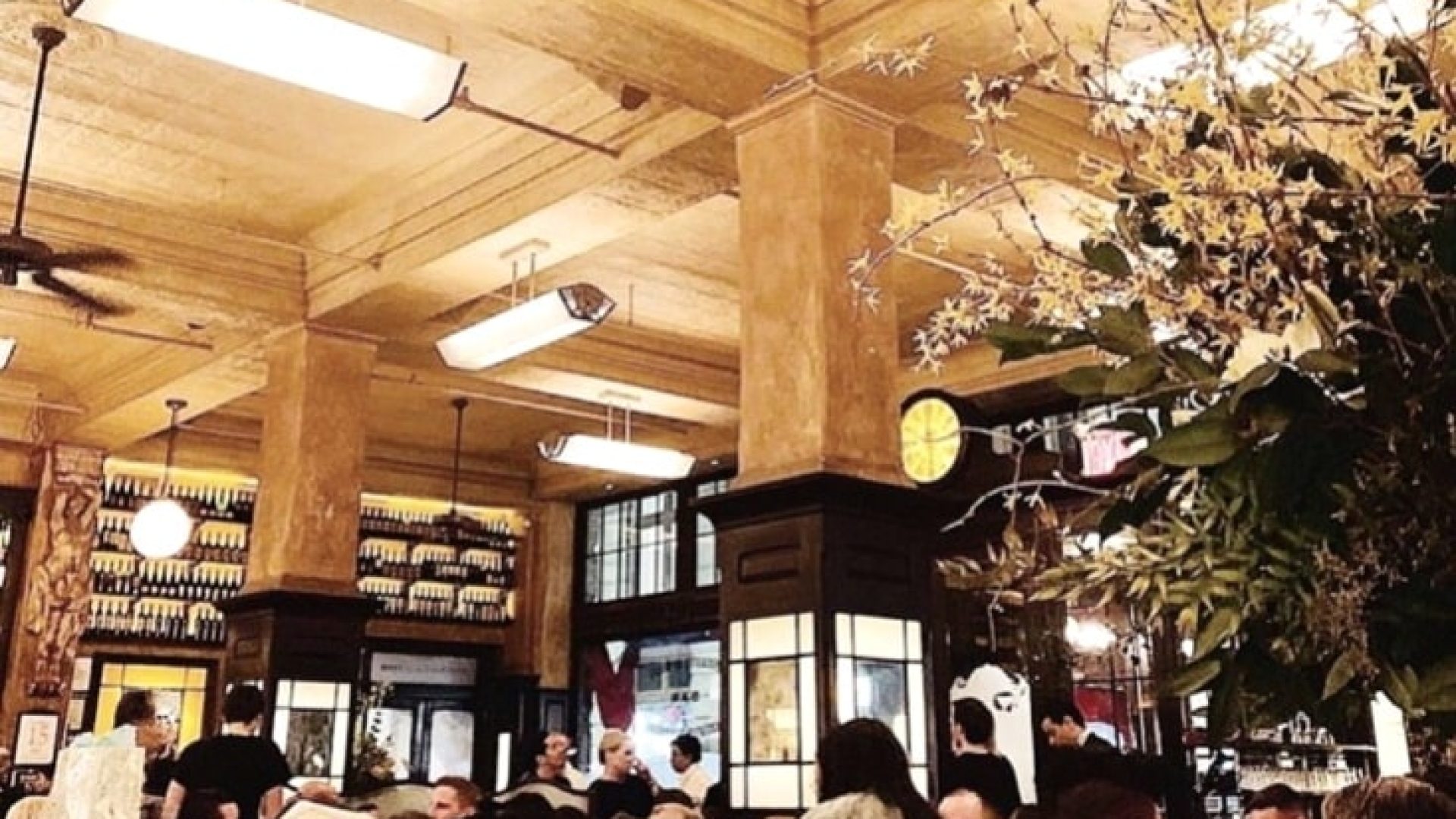 Das Mouton-Rothschild-Märchen