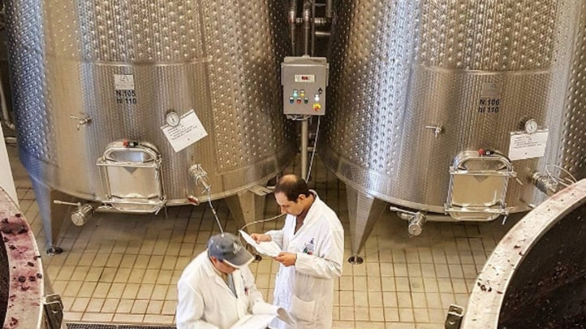 Die perfekte Weinformel