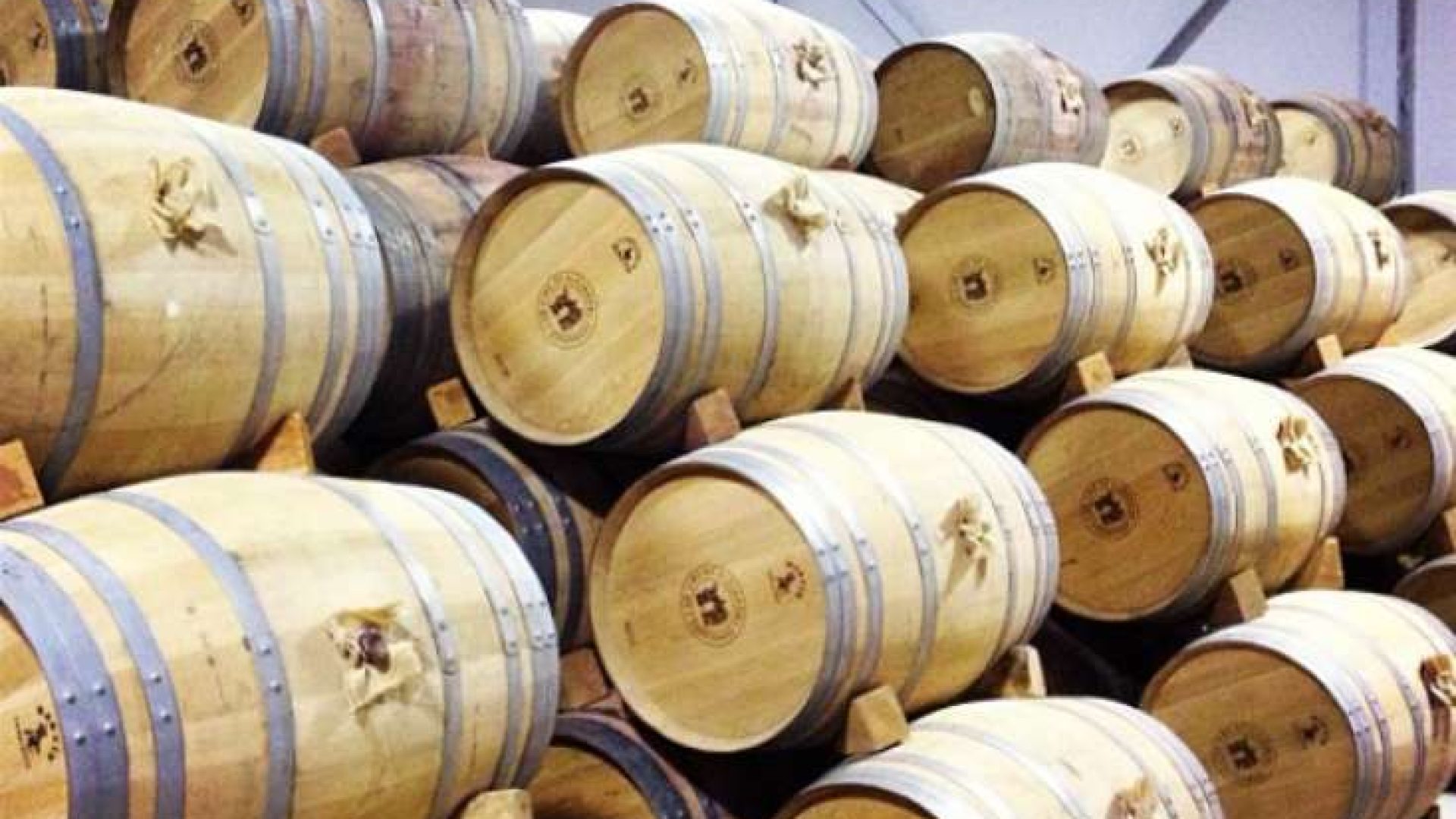 Tinto Pesquera: Kaschmir zum Trinken