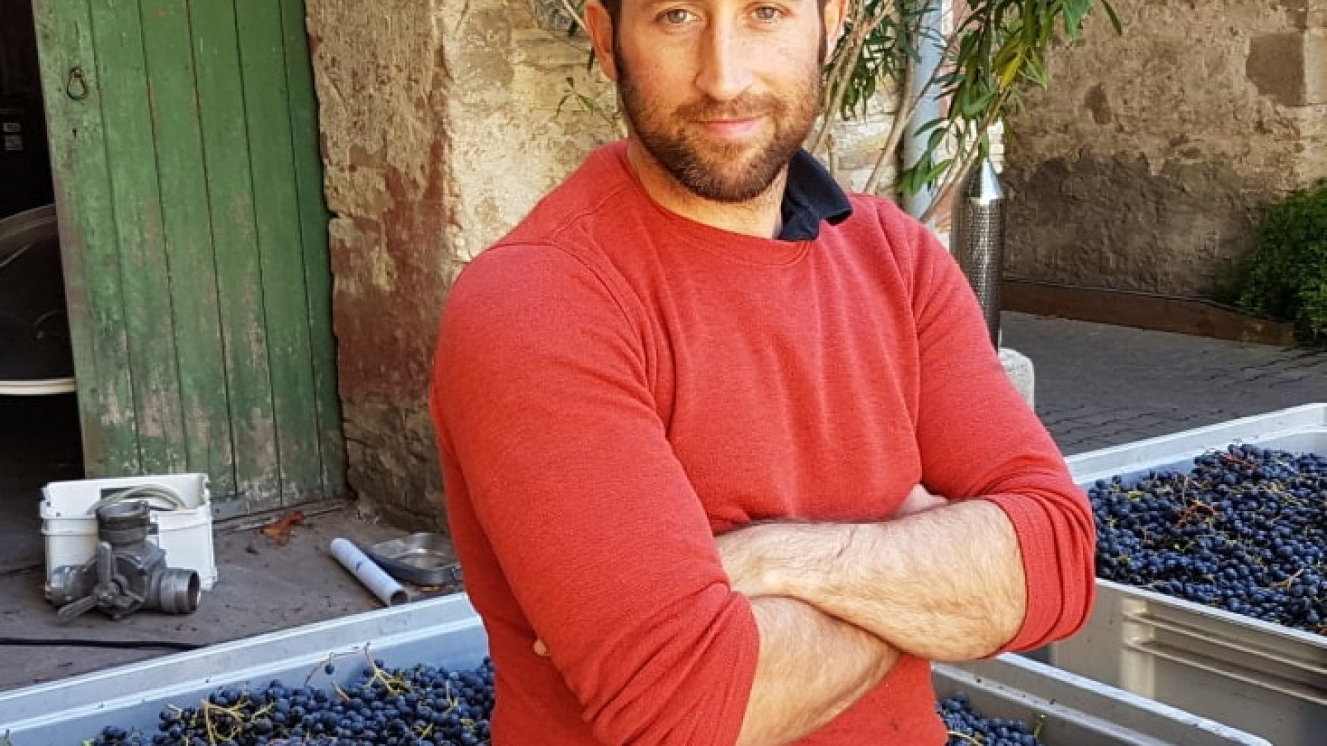 Chardonnay von Carl Koch: Tango im Mund