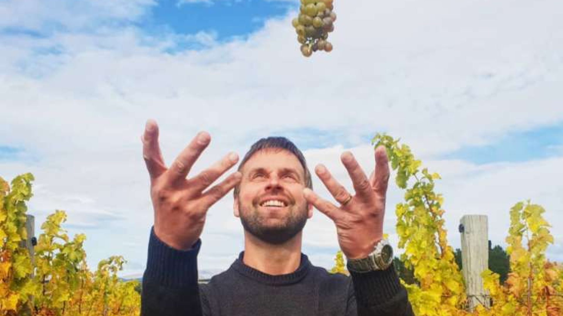 Neuseeland: gib Salz auf meine Ananas!