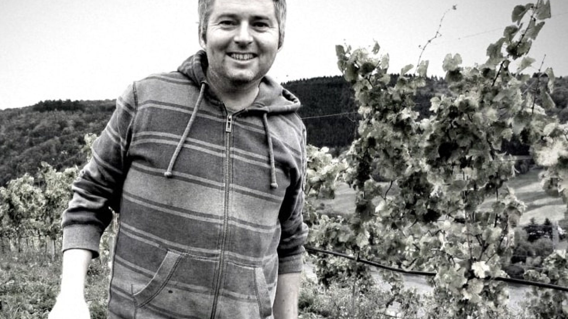 Klima: Schluss mit Eiswein?