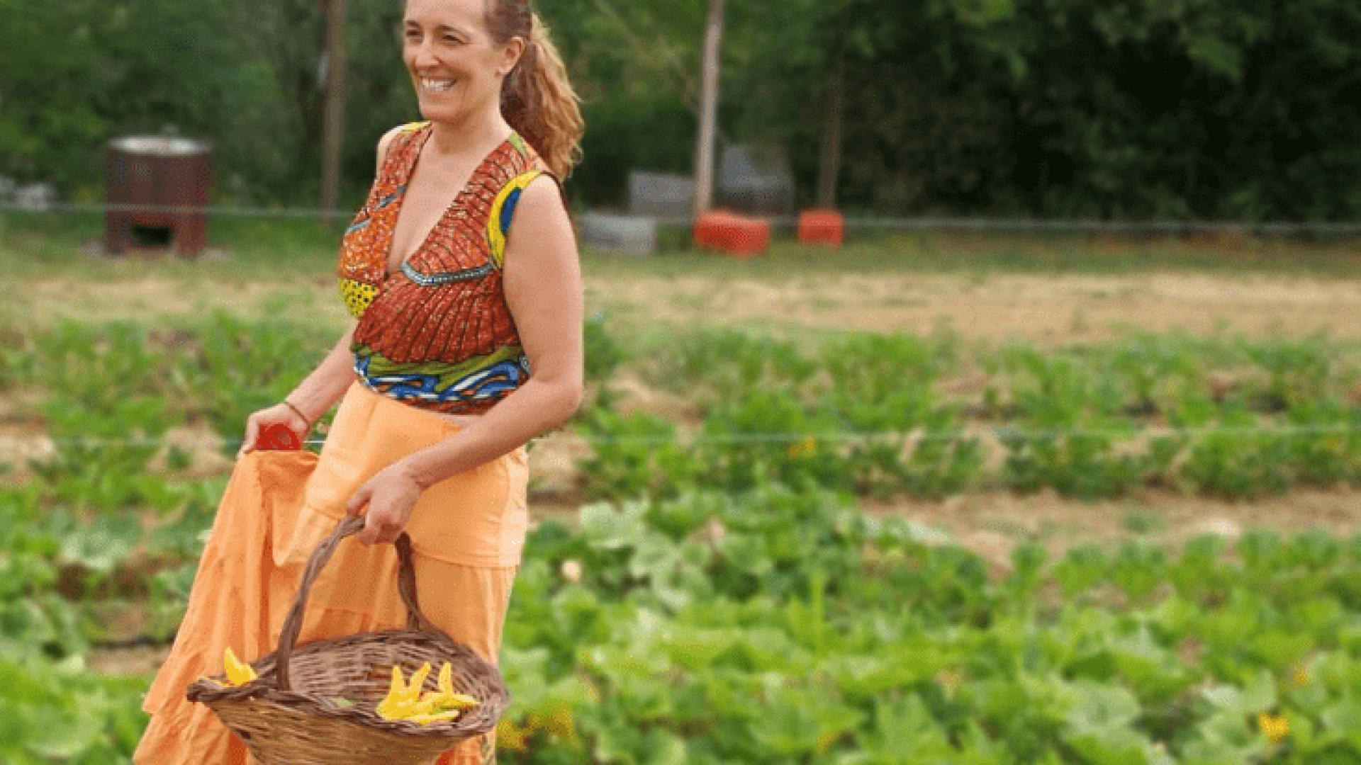 Die Bio-Fürstin und ihr Weißwein