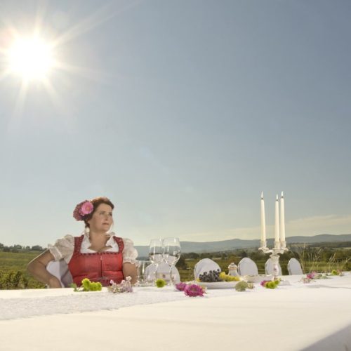 Domaine-Pötteldorf Gabi-Schandl