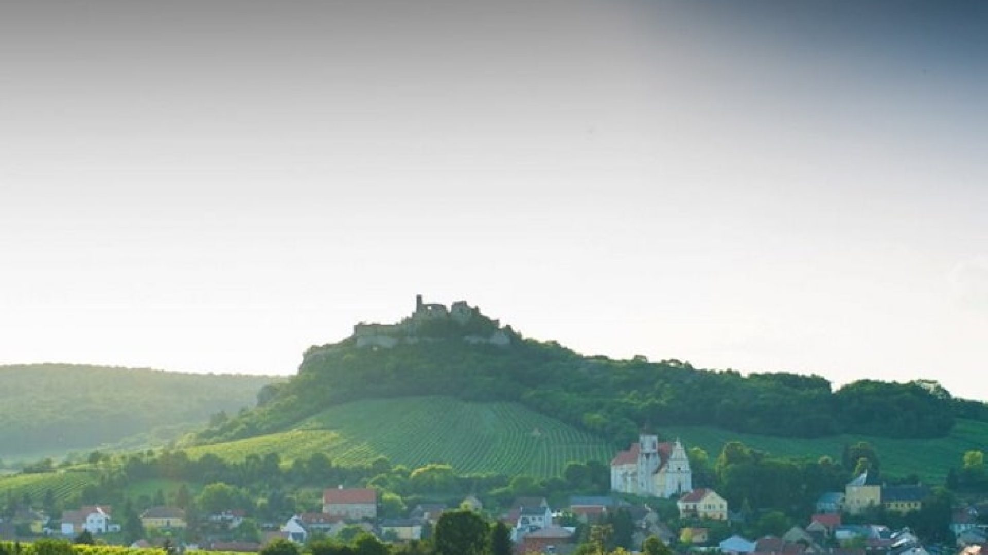 Dürnberg: die haben einen Vogel!