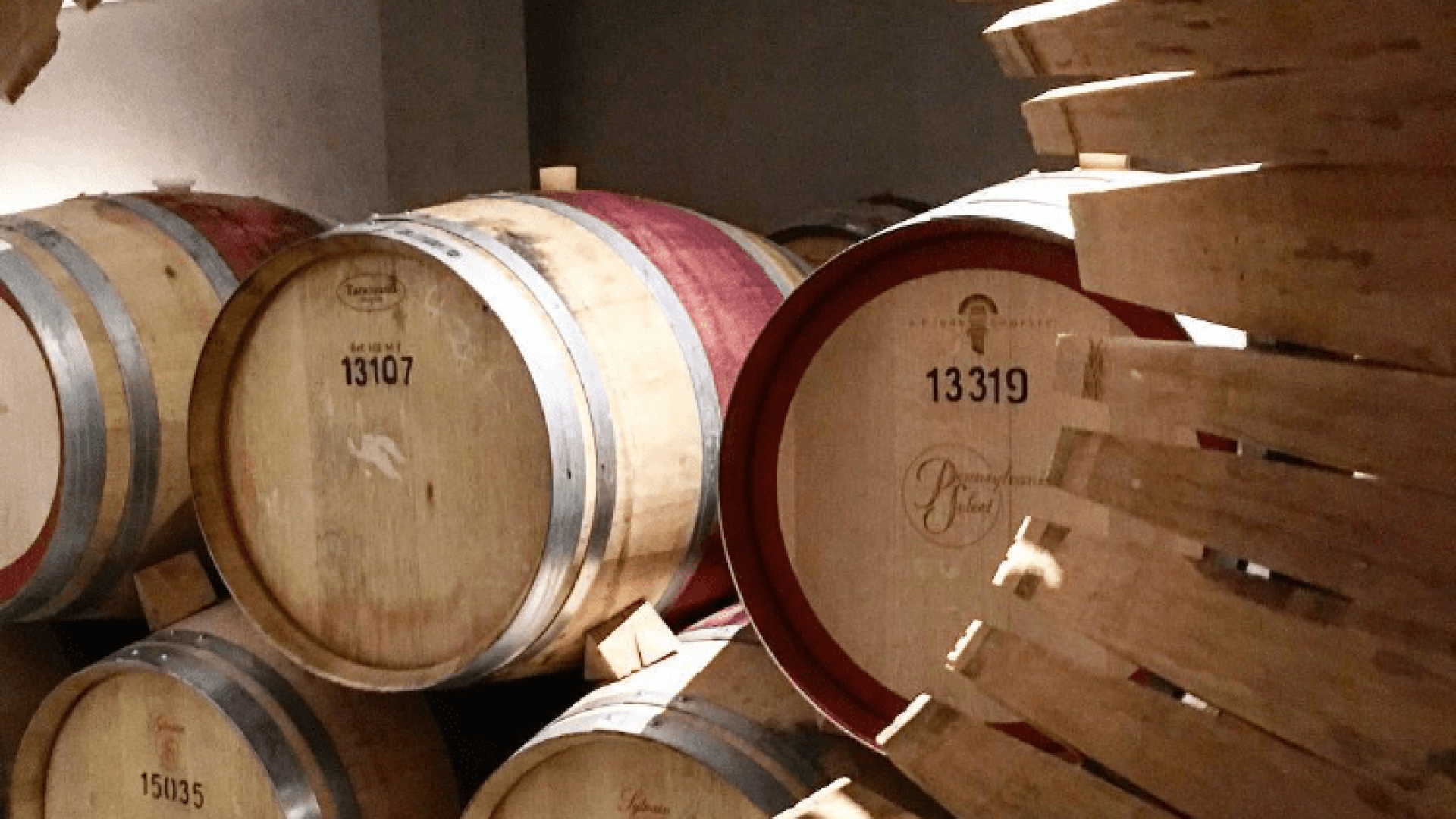 Fass-Schule: Auf den Baum kommt es an!