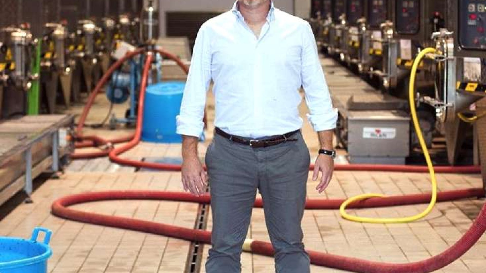 Wie heißt der männlichste Wein?