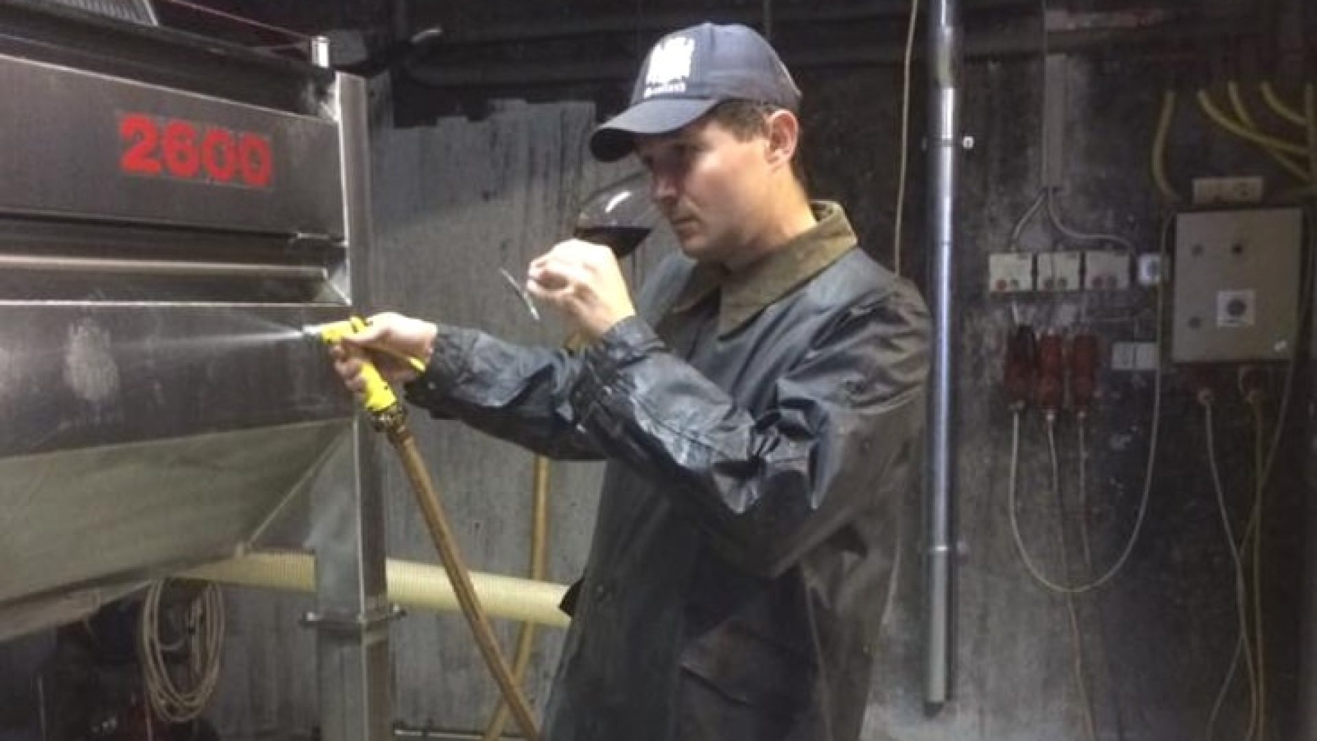 Franz Schindler: Rotwein aus dem Chaos