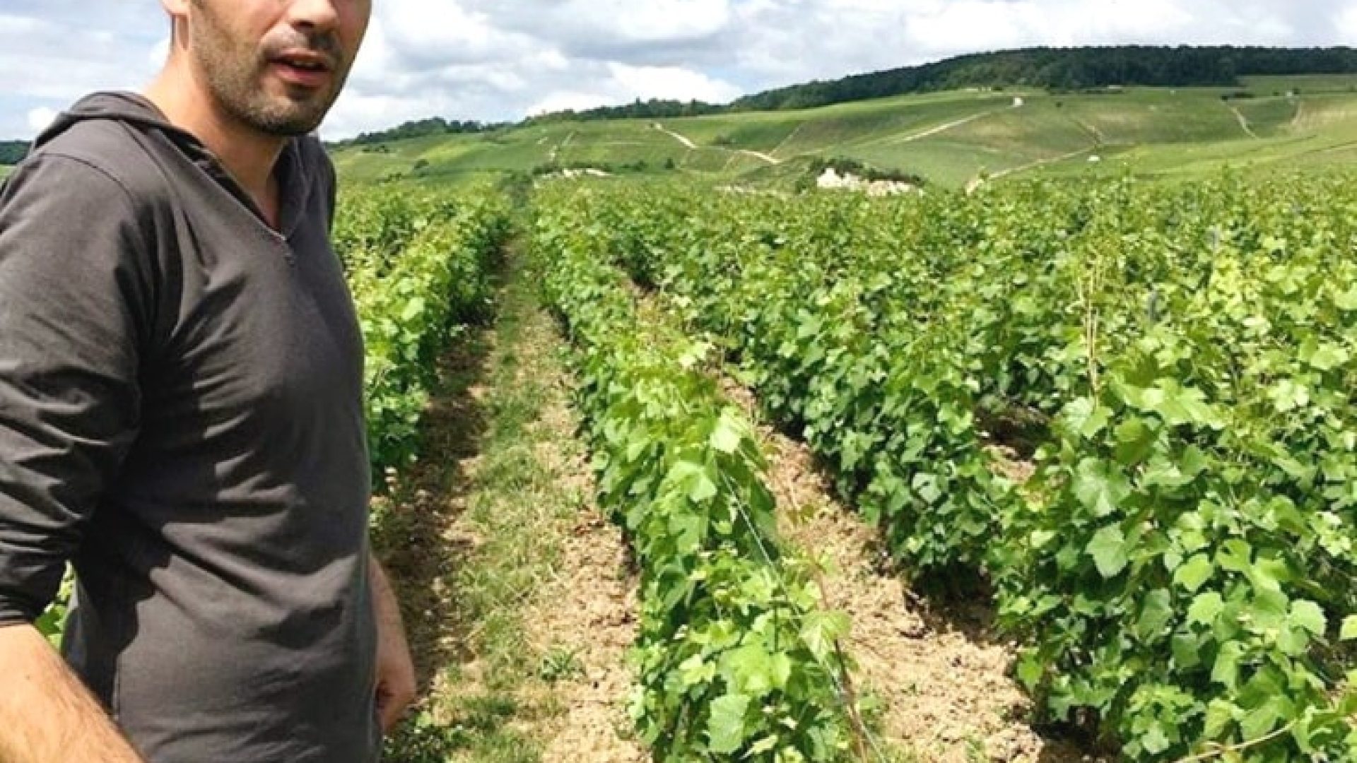 Warum ich nie Supermarkt-Champagner trinke