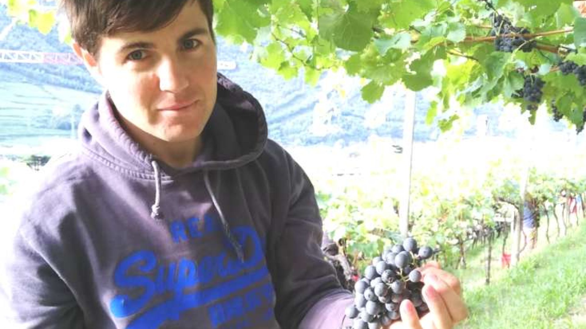 Franz Gojer: mein Dach aus Wein