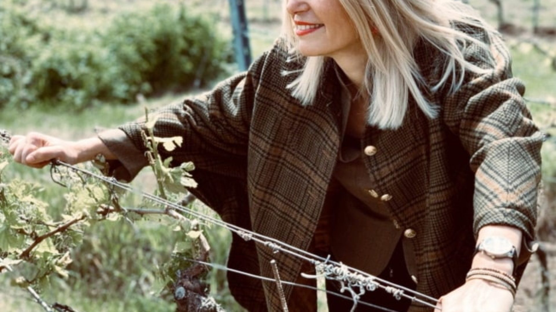 Gute Weine: Georg Naegele