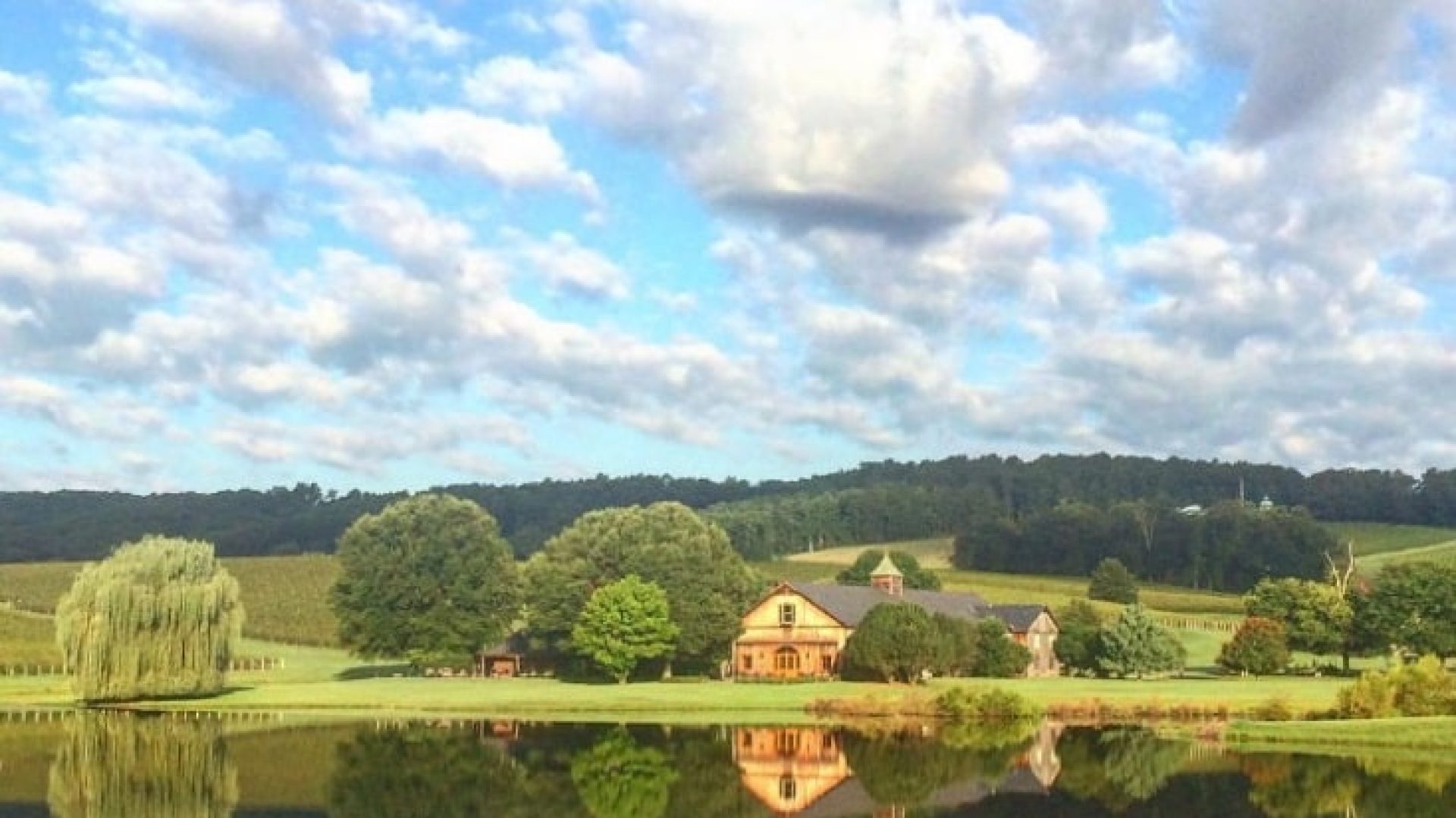 Schöne Tage im Weingut Trump