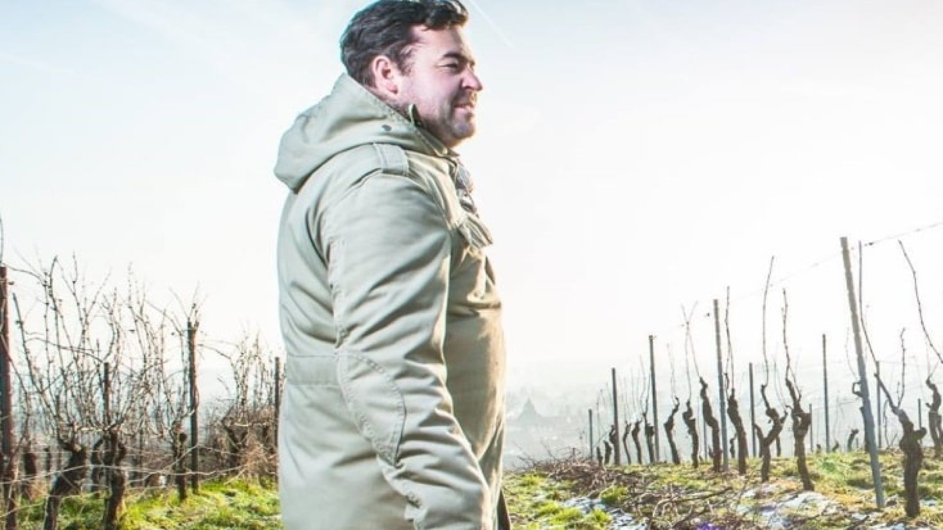 Hiestand: Riesling für die scharfe Küche