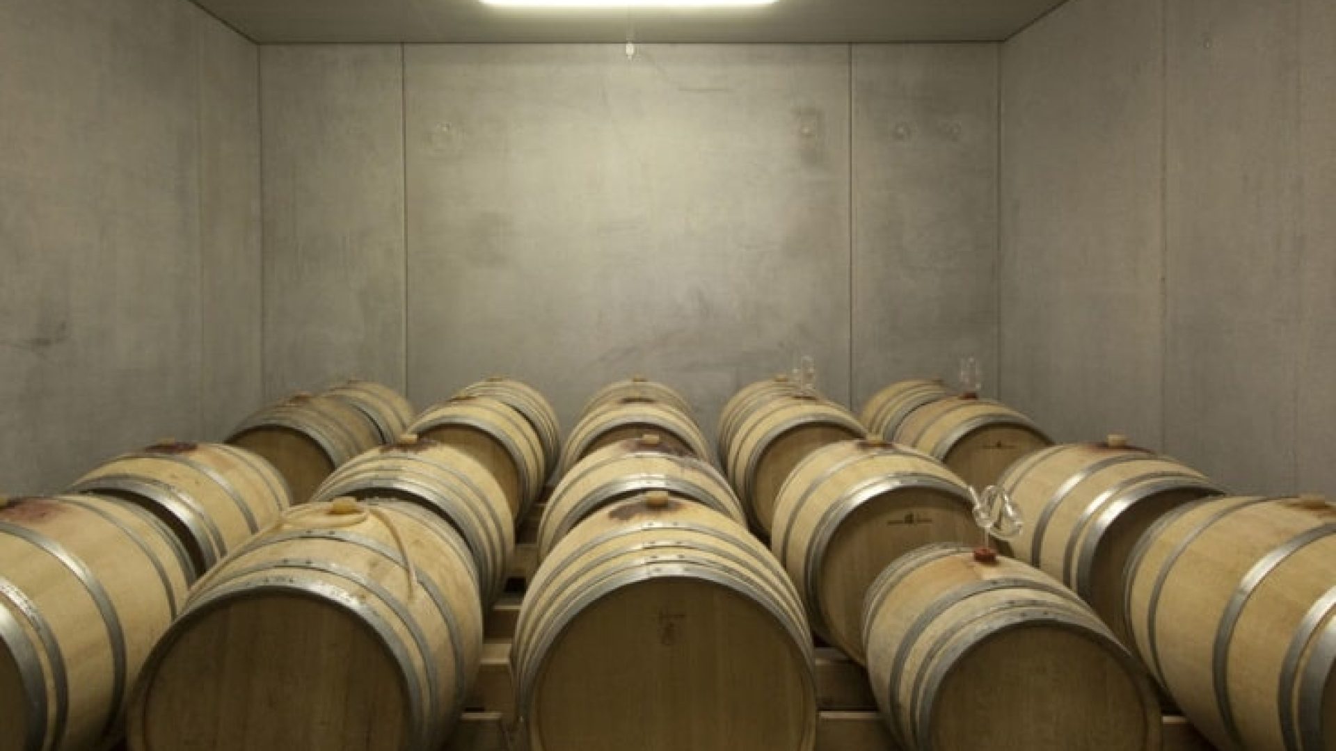 Ich bin das Bio-Weingut des Milliardärs