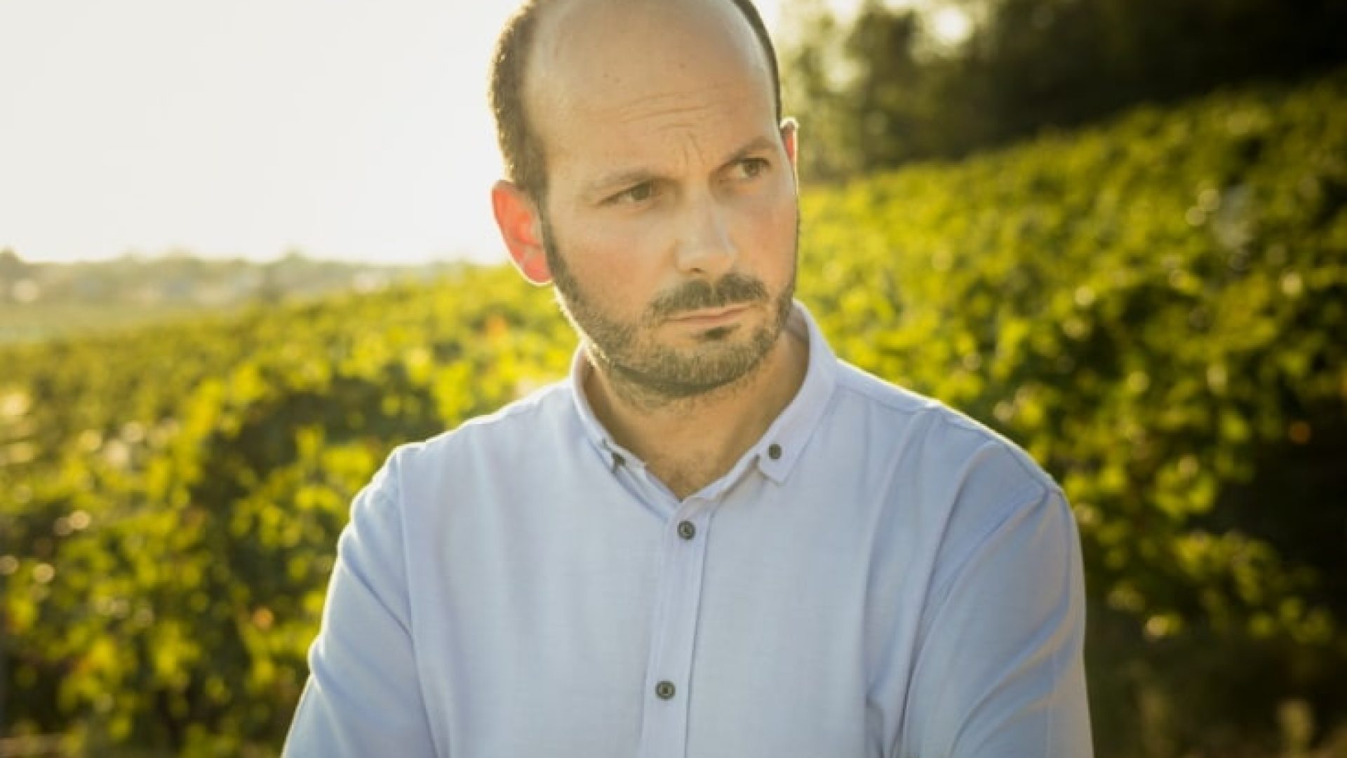 Stiegelmar: die Blaufränkisch-Vollendung