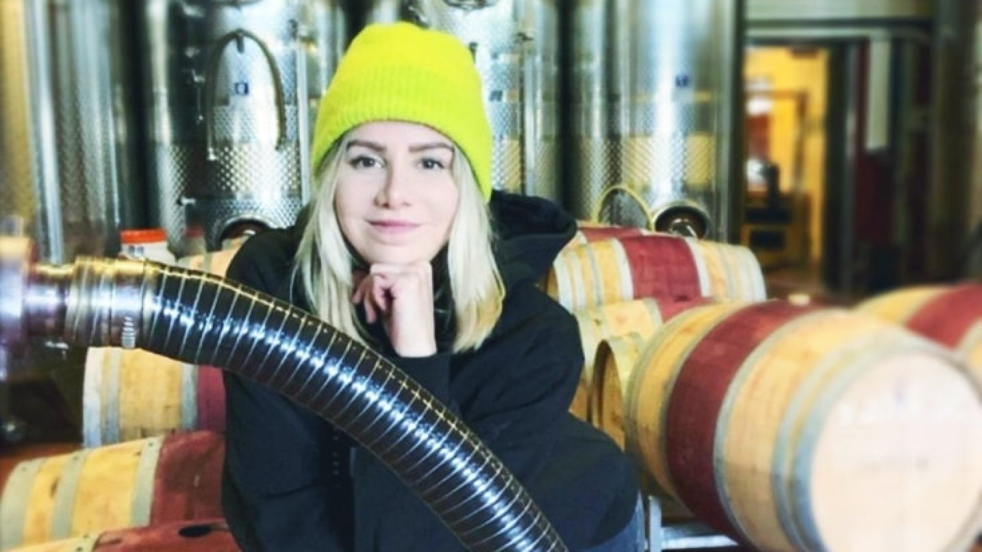 Gute Weine: Taferner in Carnuntum