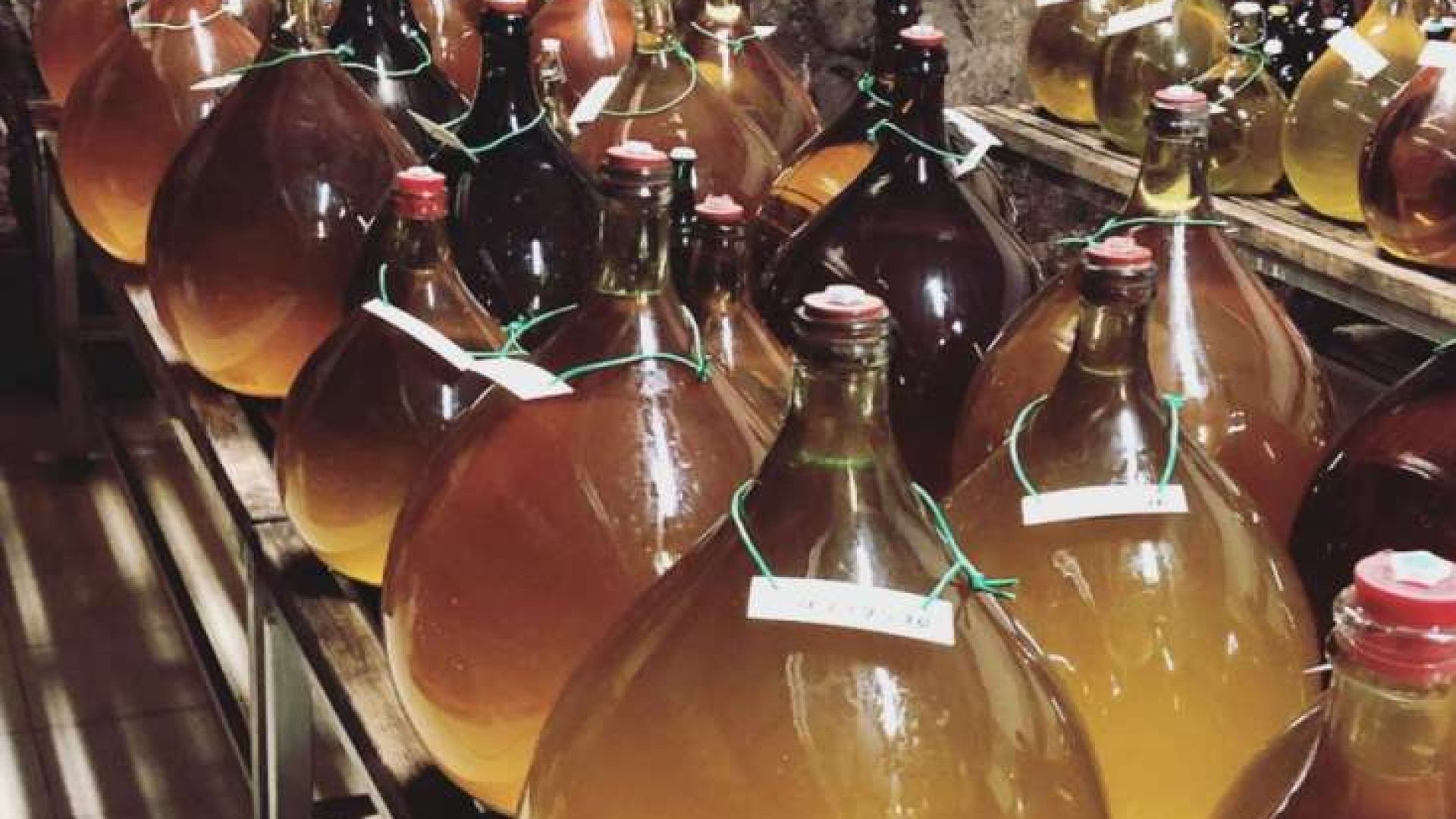 Laimburg: Wein der Forscher