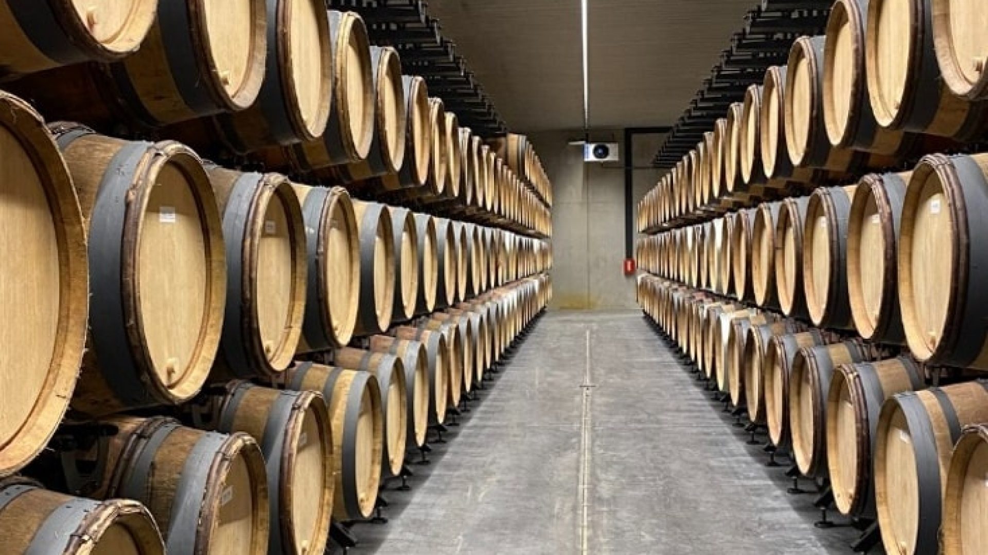 Laurent-Ponsot_2-min