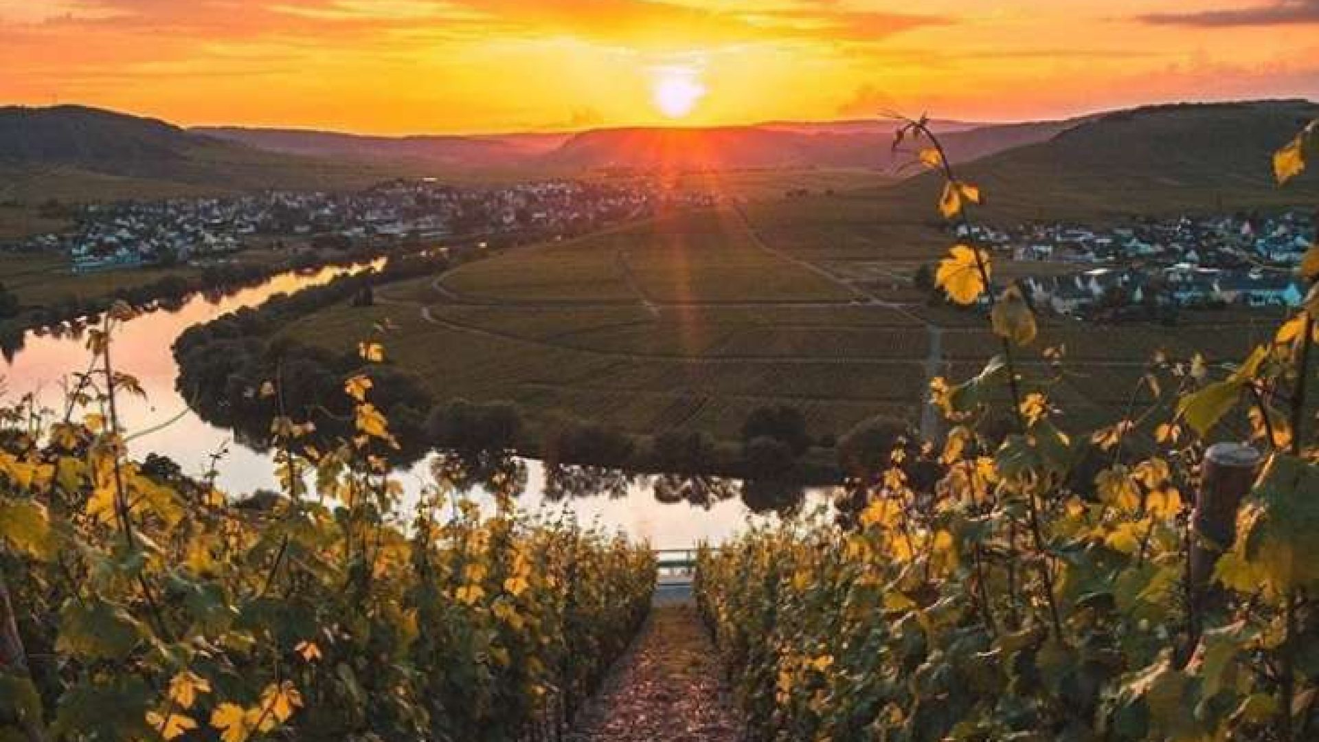 Ich verreise mit Wein