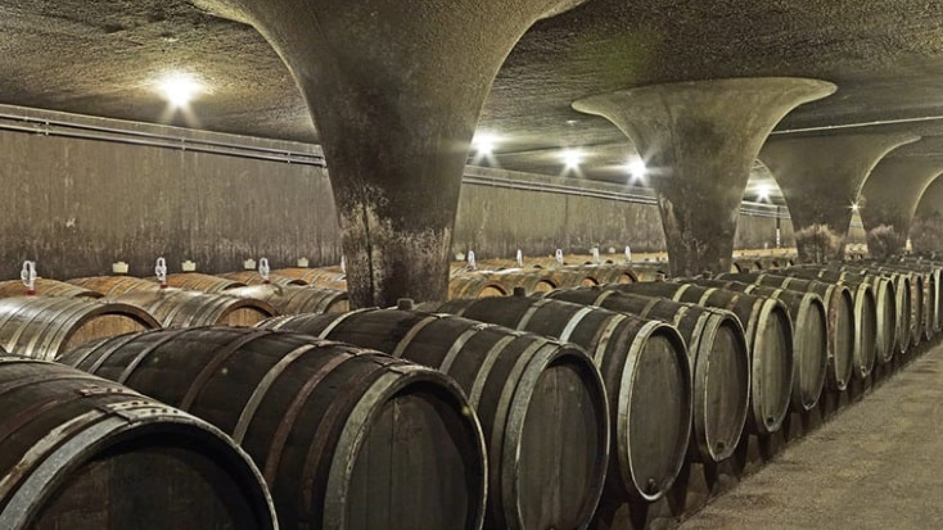 Machen kleine Winzer besseren Wein?