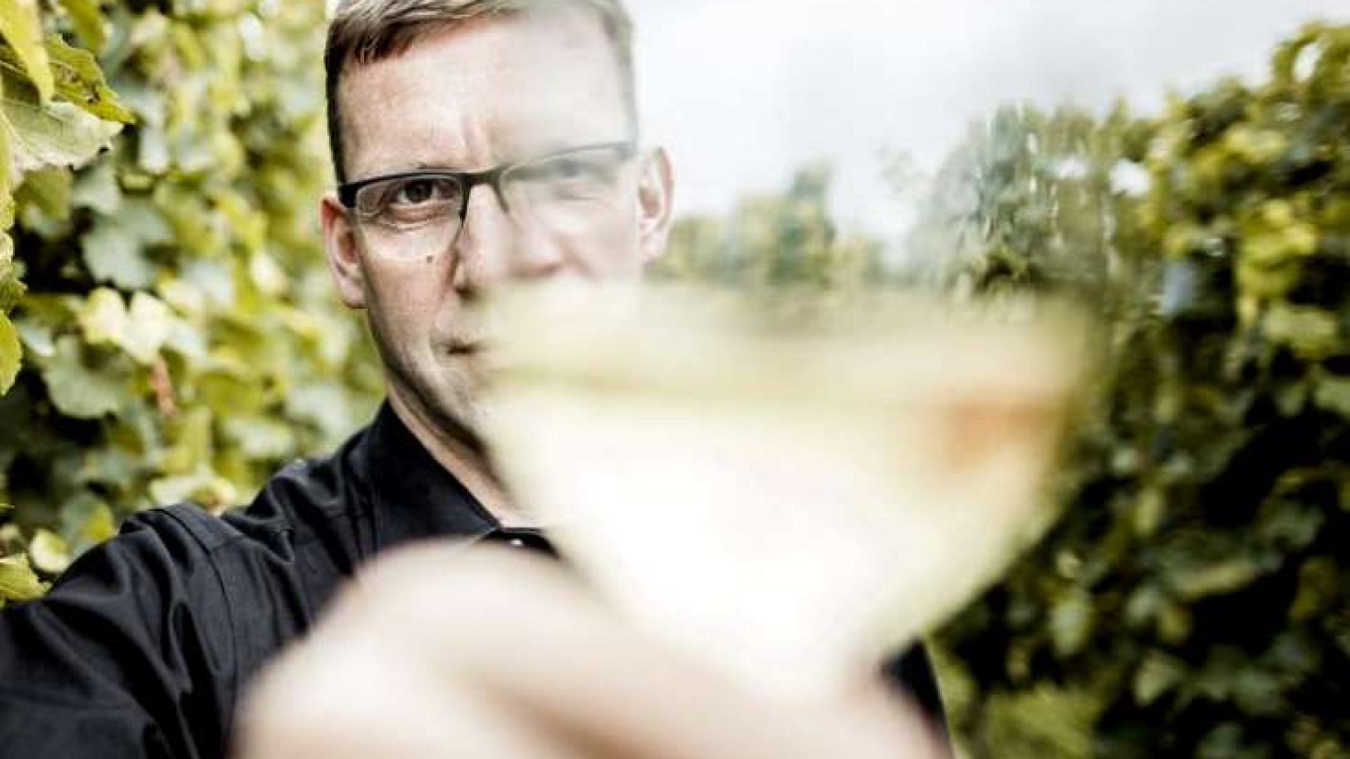 Wein aus behinderten Beeren