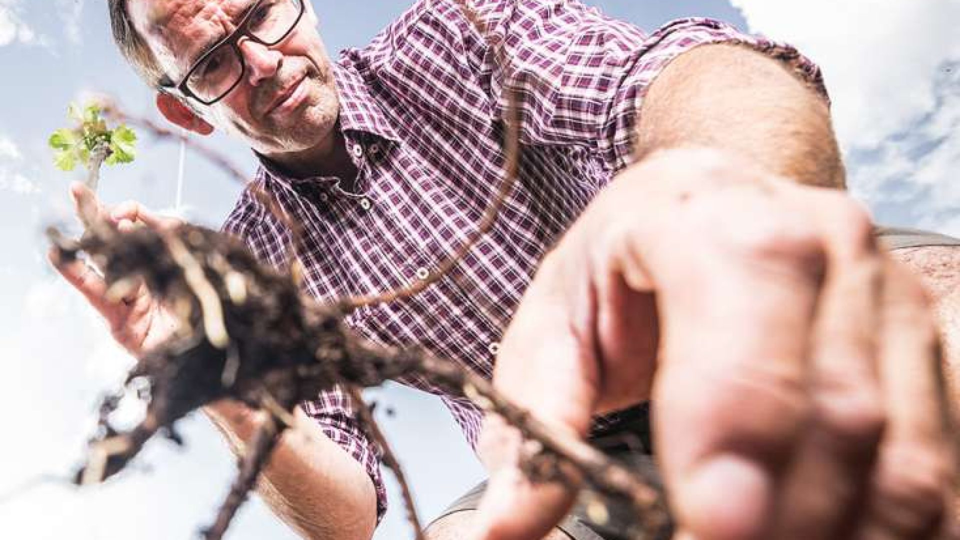 Marx: das graue Manifest