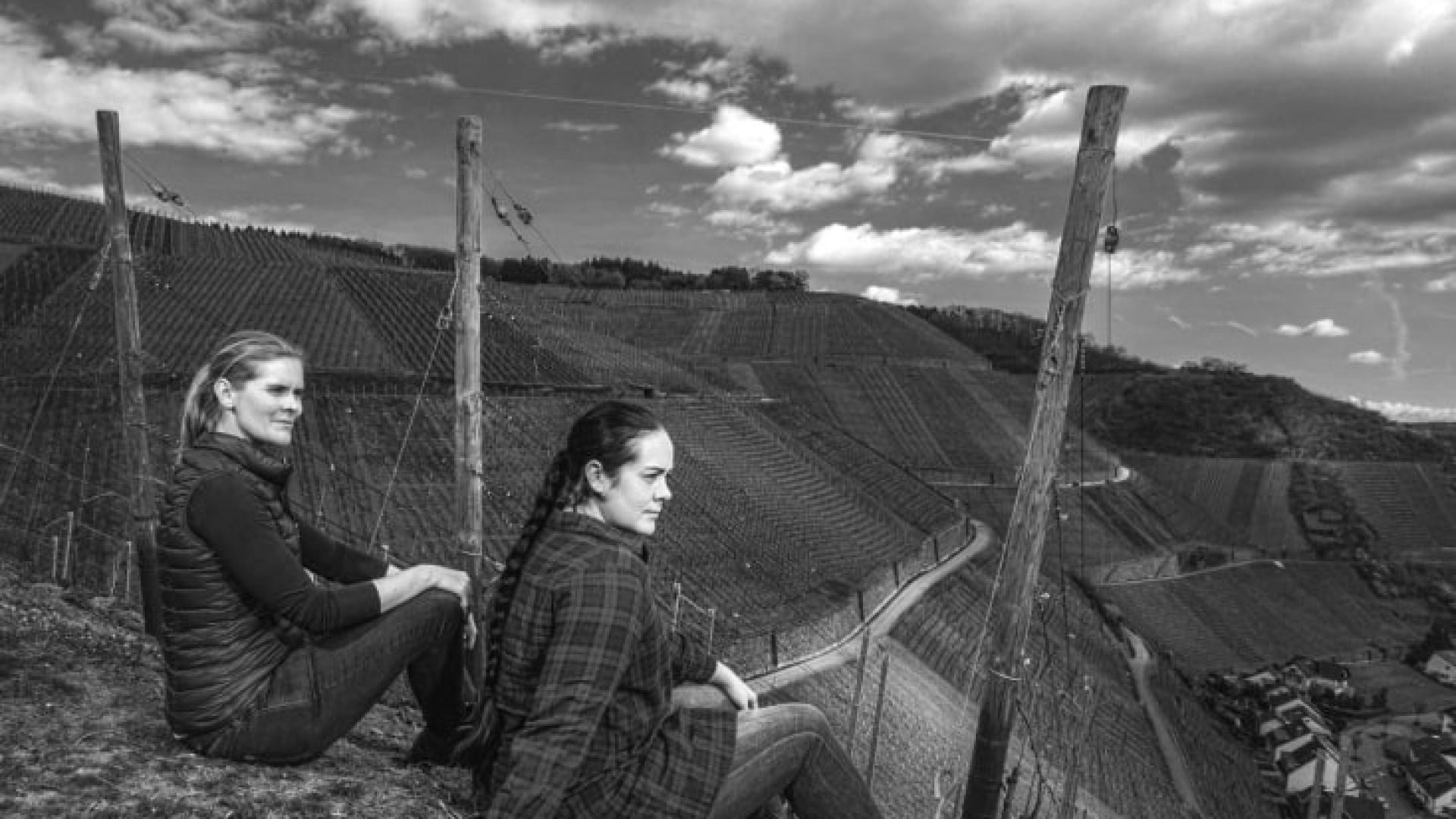 Ahr-Flut: der Baum des Lebens