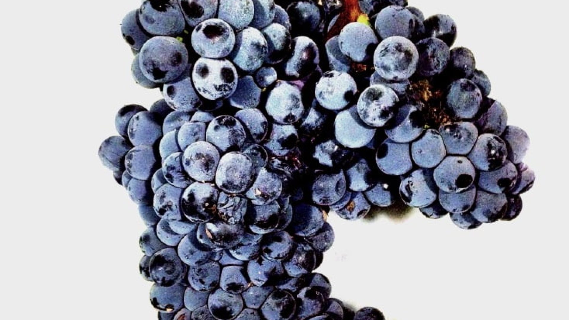 Sizilien: die fabelhafte Signora Occhipinti