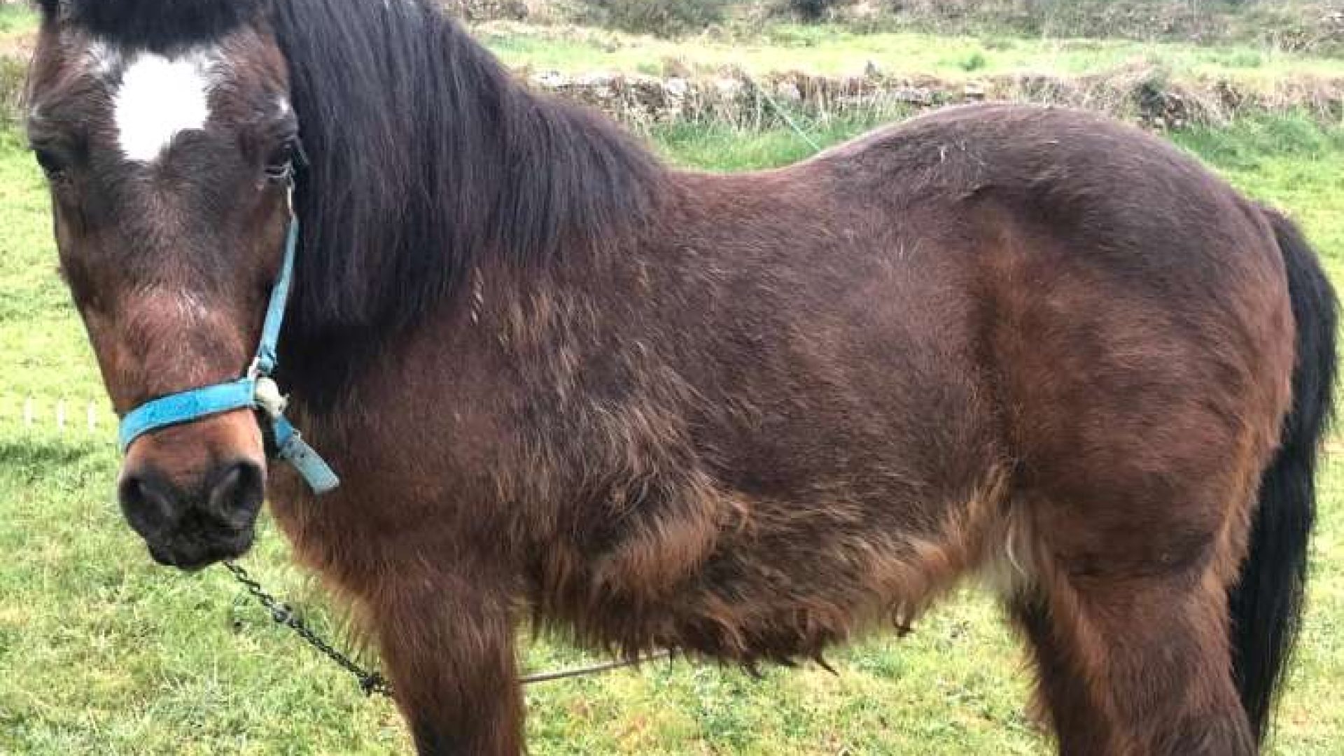 Rafael Palacios: Mitarbeiter der Woche