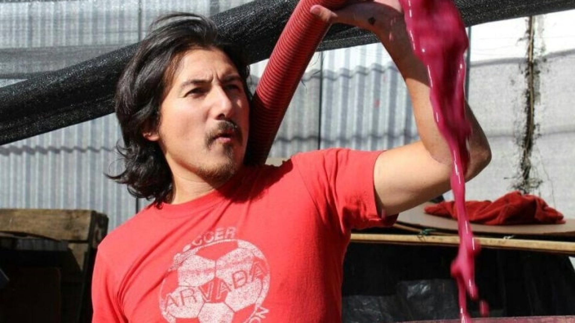 Roberto Henríquez: Chiles Blut