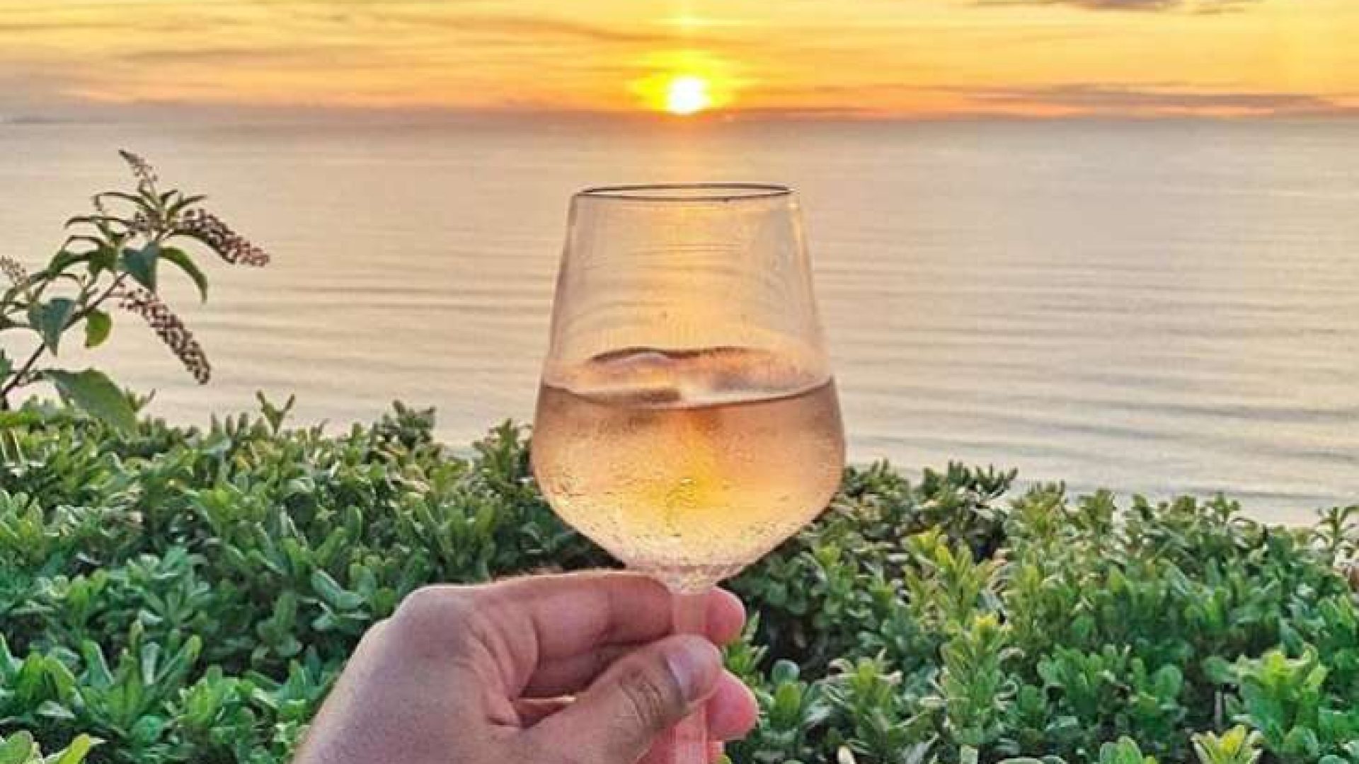 Sommer 2020: der letzte Rosé