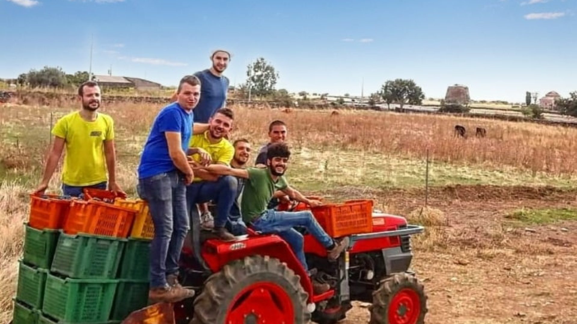 Wer trinkt Sardinien?