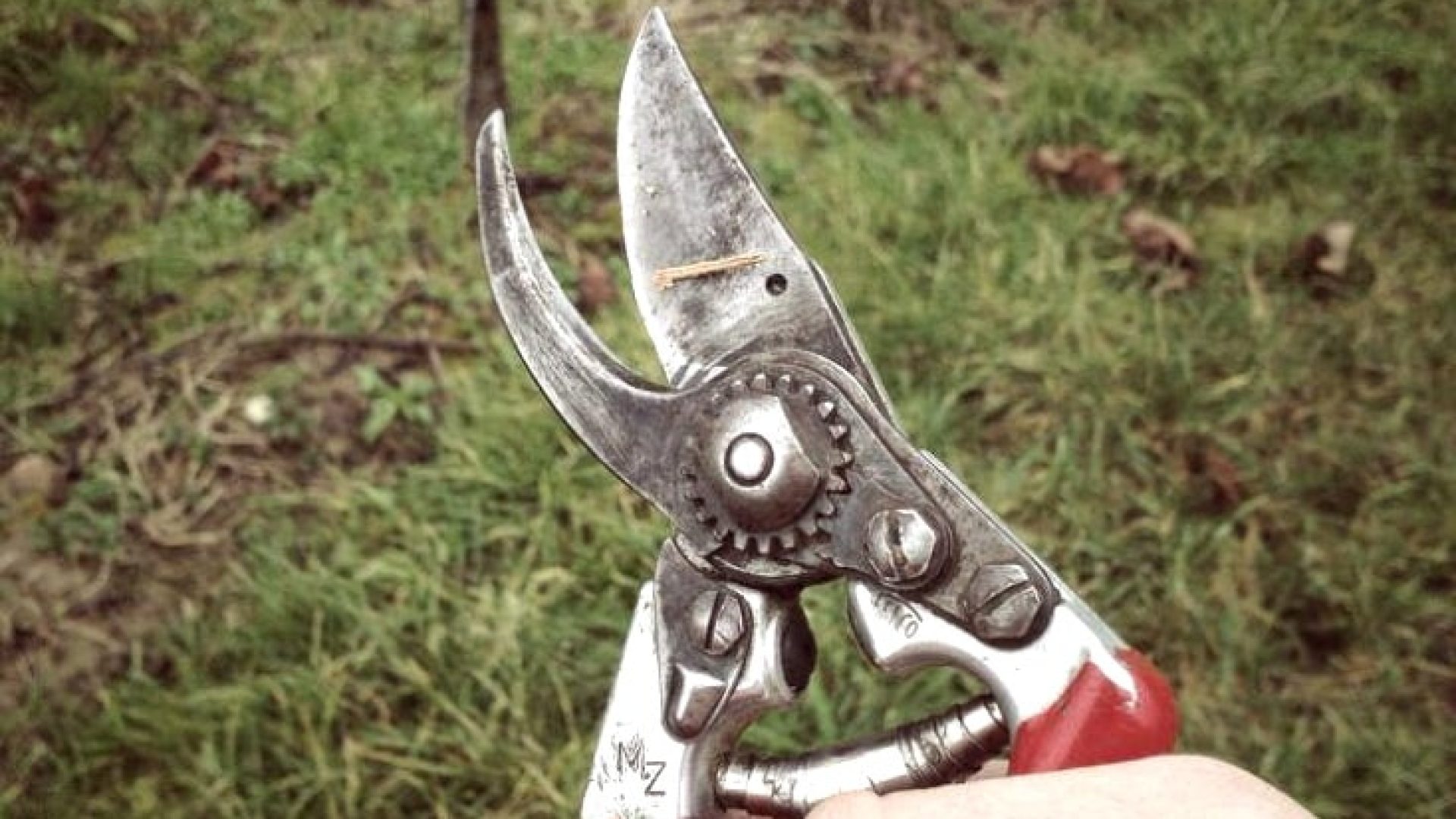 Was ist eine Jahrgangs-Cuvée?