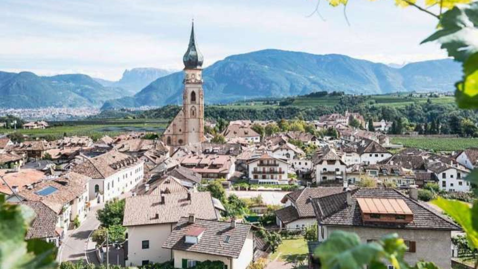 Merlot: der letzte Wein