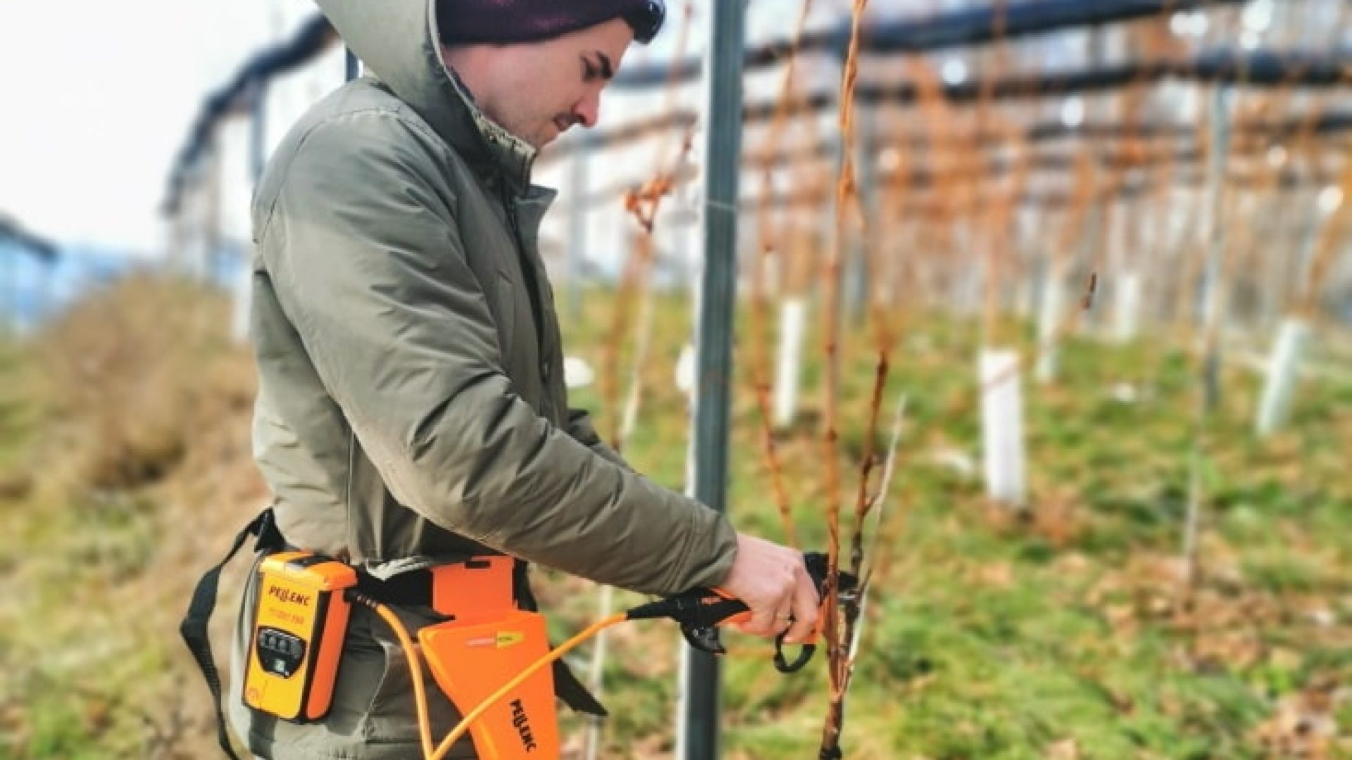 Strablegg-Leitner-min