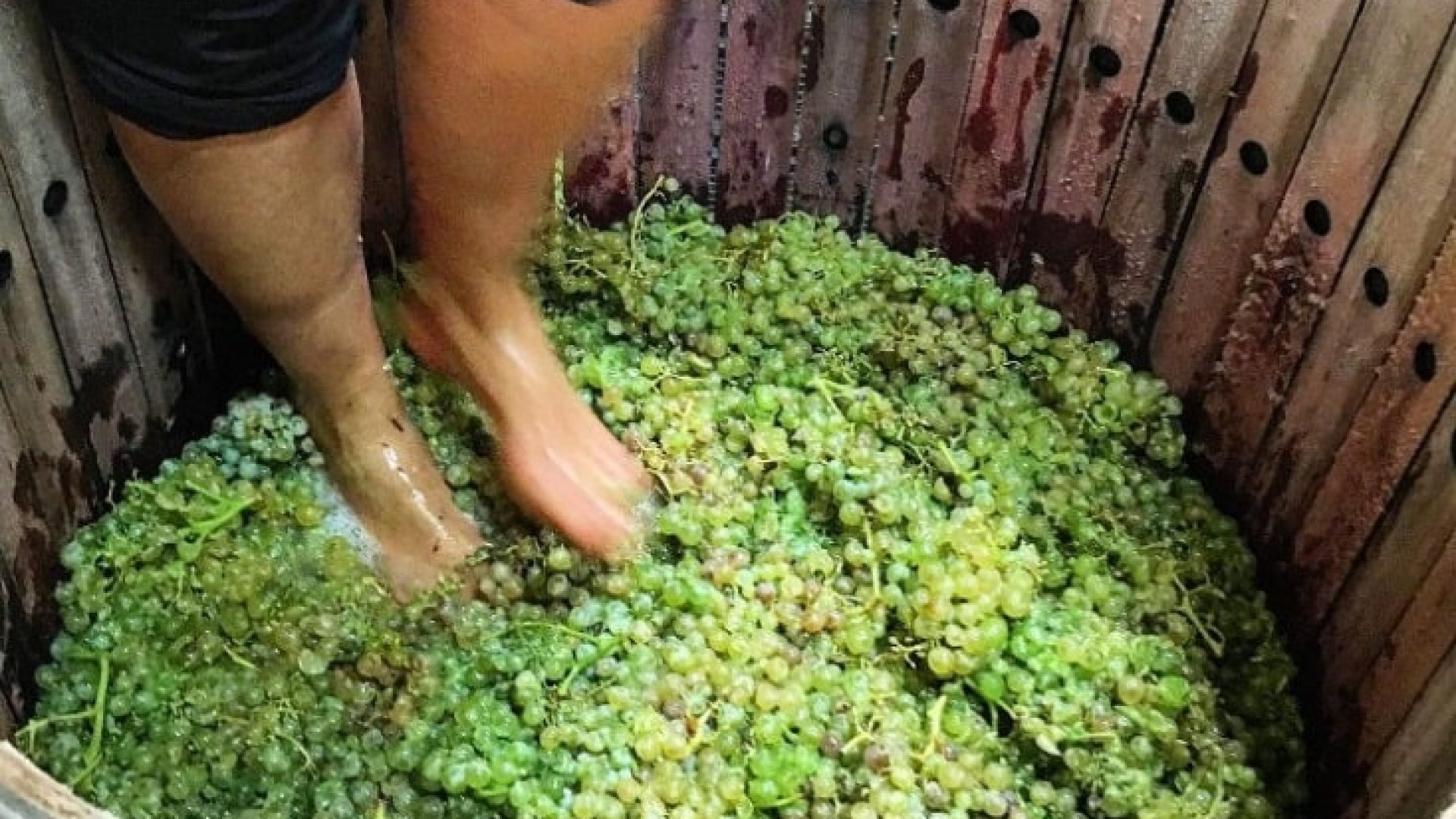 Ist das Mosel? Nein: Priorat