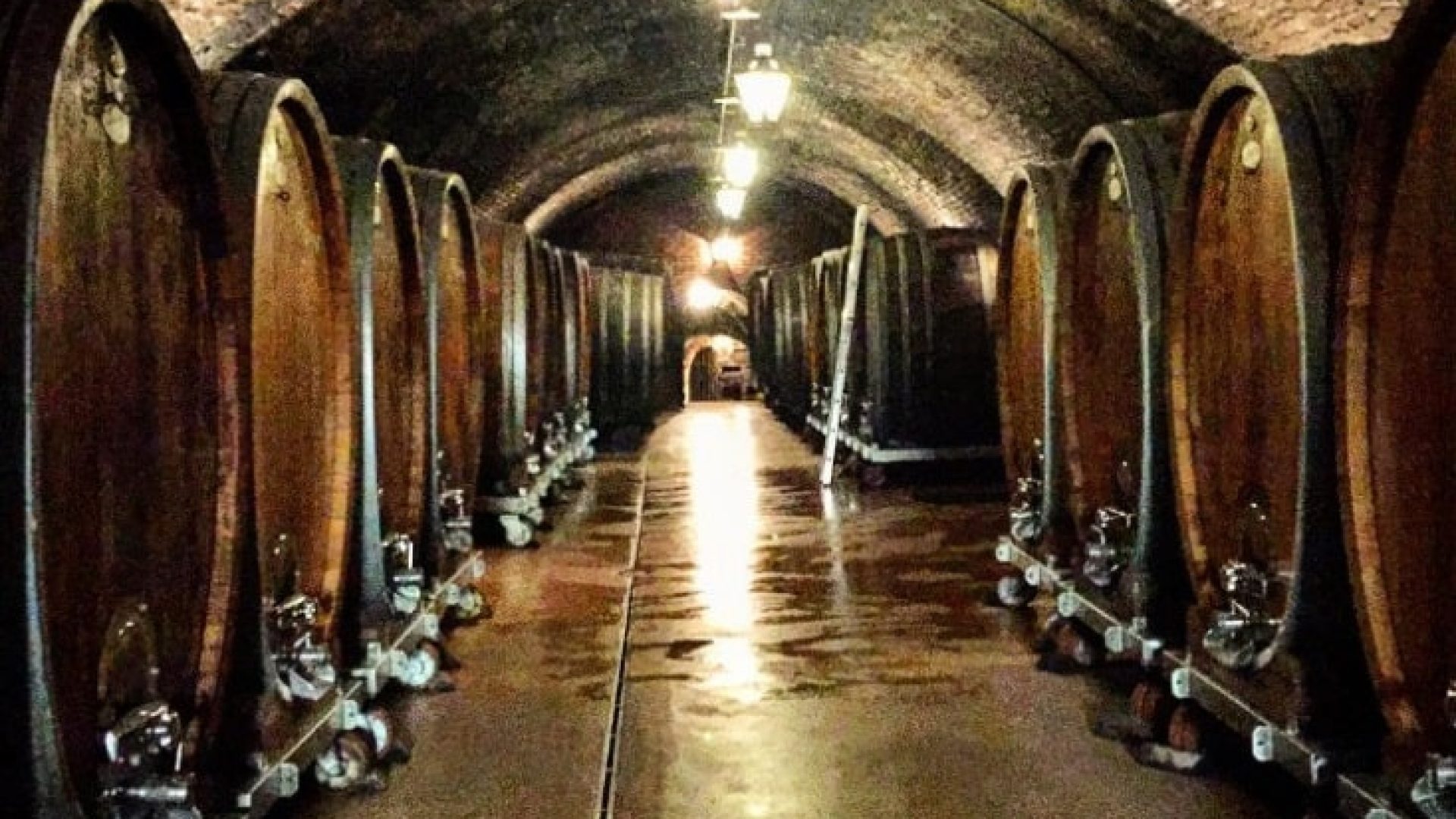 Veltliner aus dem tiefen Keller