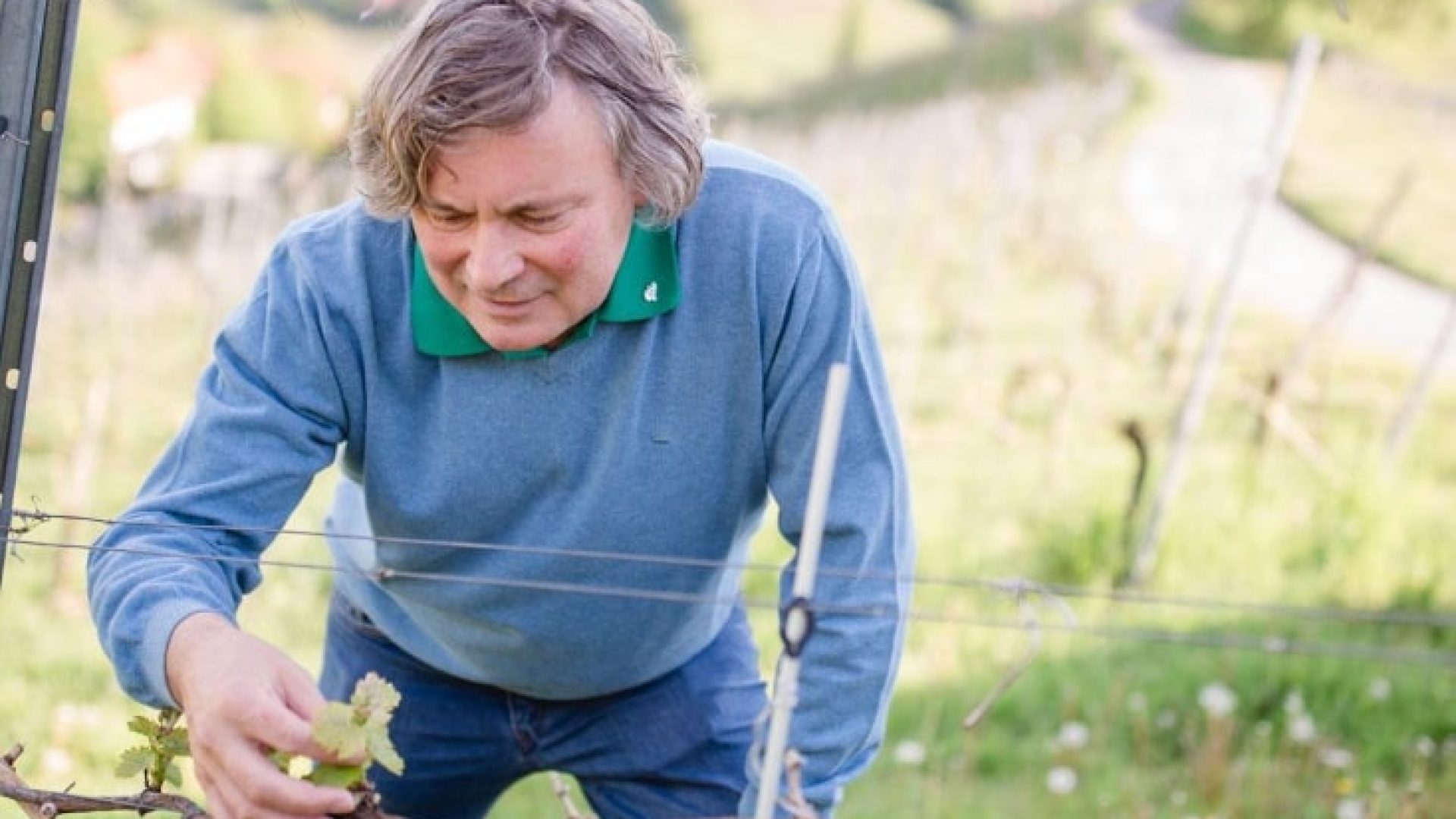 Weinverkauf: Wir versenden gratis!