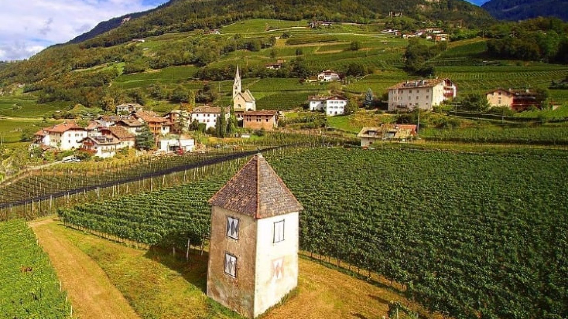 Verblüffende Wein-Fakten über Südtirol