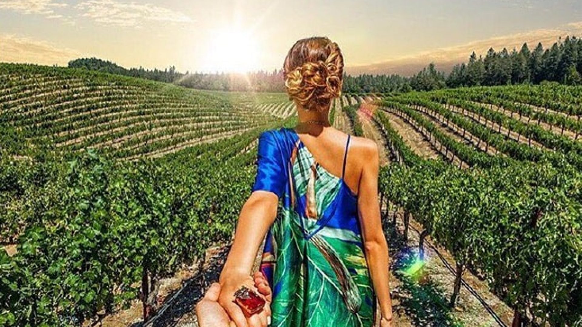 12 Tipps für den Kauf eines Weinguts