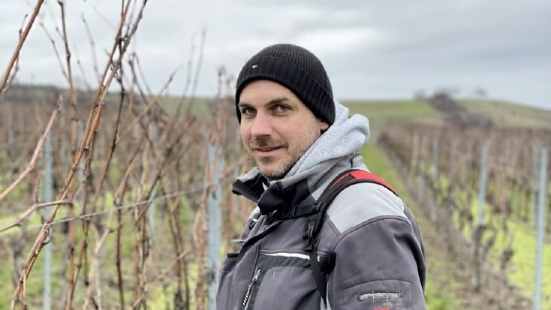 Rotes Rheinhessen: Mein Name ist RABE