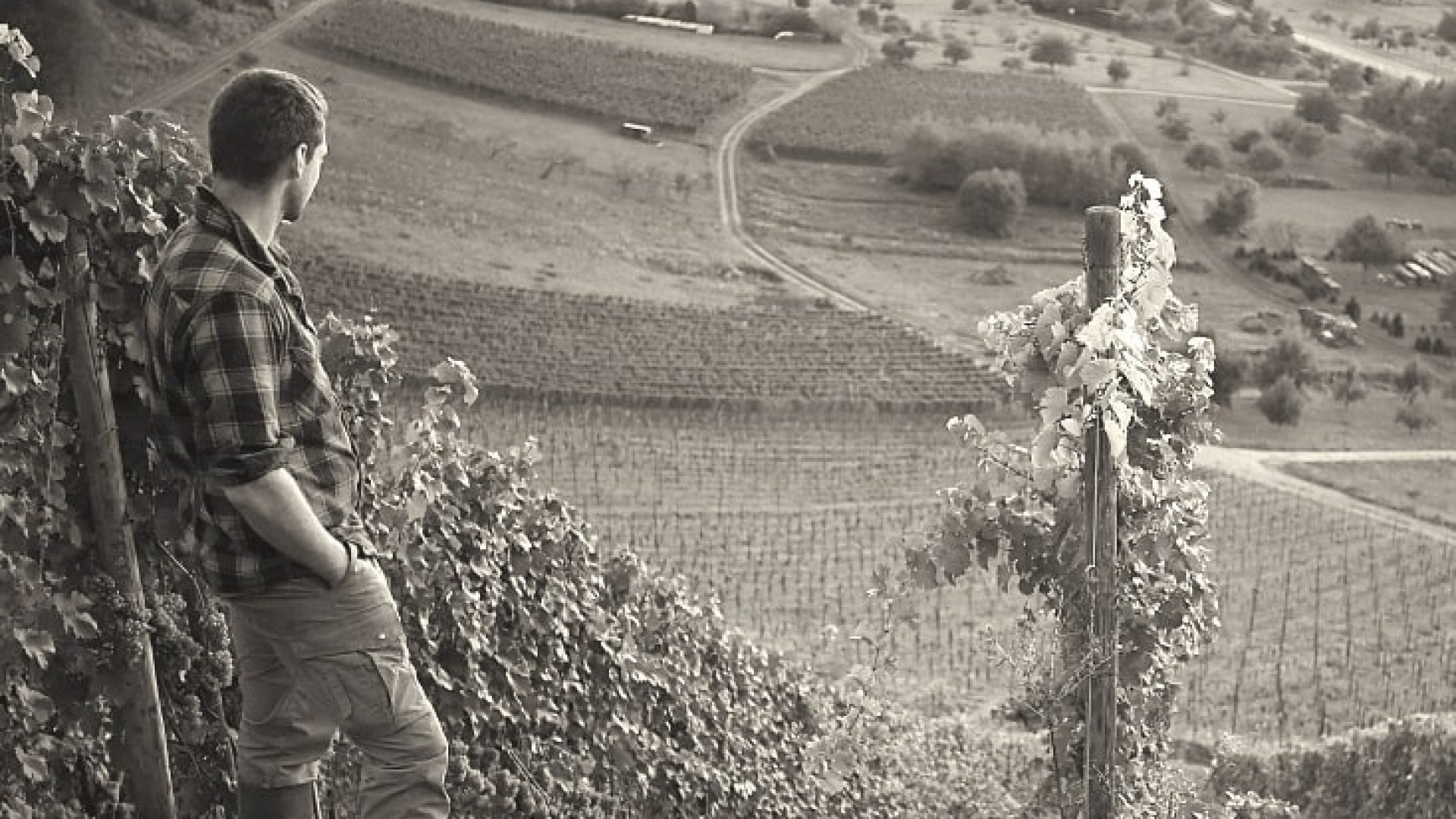 Saar: der unbekannte Loch